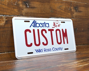 ヴィンテージ 1963 バージニア ナンバープレート ペア 657-092 番号