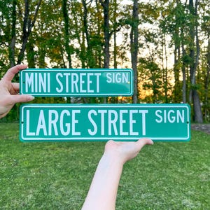 May include: Two green street signs with white text that reads "MINI STREET SIGN" and "LARGE STREET SIGN". The signs are held up against a backdrop of green grass and trees.