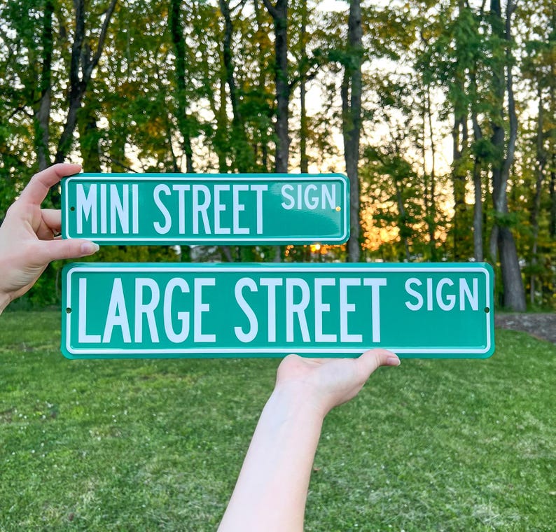May include: Two green street signs with white text that reads "MINI STREET SIGN" and "LARGE STREET SIGN". The signs are held up against a backdrop of green grass and trees.