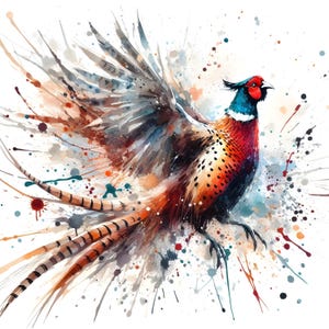 12 Bird Clipart Pack Pheasant Clip Art Digital Art Pheasant Graphic Pheasant Print Pheasant Painting Watercolor Pheasant