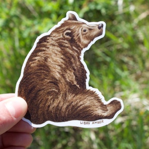 Grizzly Bear Vinyl Sticker
