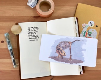 T-Rex Dinosaur Watercolor Illustration Laminated Shitajiki Pencil Board for Travelers Notebook