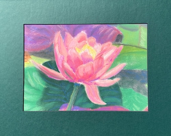 Pintura original em pastel de lírio-d'água – Arte de lírio-d'água rosa - 9x11