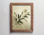 Printable olive branch tree oil painting digital art print peace peaceful neutral vintage muted home decor minimalist abstract | #HTA_072
