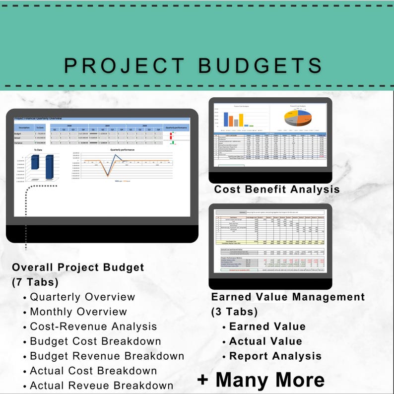 May include: Image of a digital presentation titled "PROJECT BUDGETS." The presentation displays various financial analysis charts and tables on computer screens. Key topics include Overall Project Budget, Cost Benefit Analysis, and Earned Value Management, with additional options.