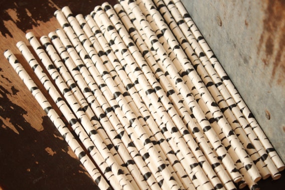 25 Zebra Print Paper Straws -- Black and White Il_570xn