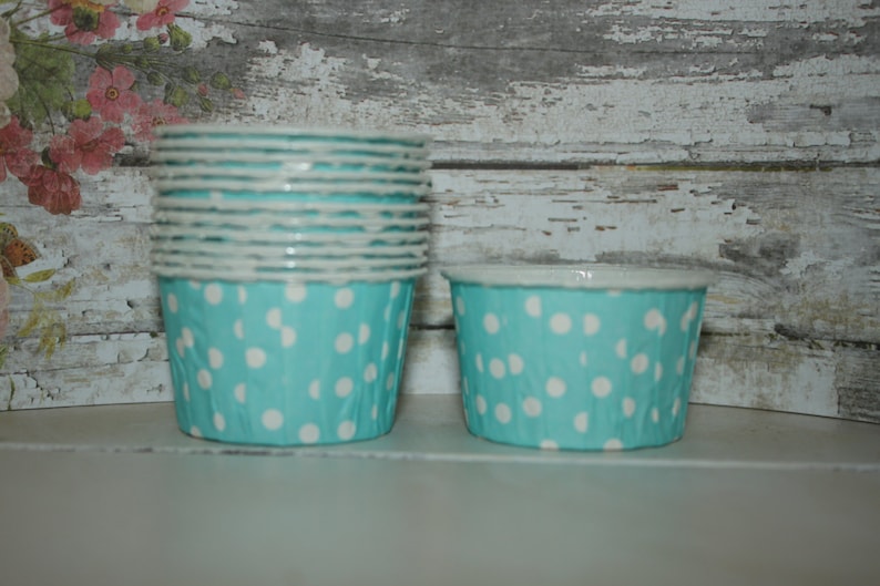 Miami Dolphin Football Party 30 Blue and Orange Paper Straws Party Straws