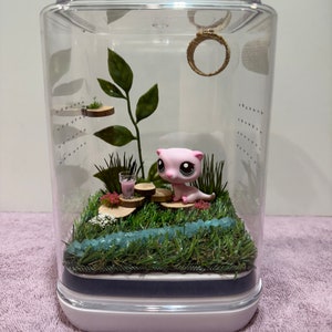 Handcrafted Jumping Spider Enclosure - Littlest Pet Shop themed with Otter