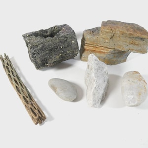 May include: A collection of natural elements including rocks and a dried cholla cactus skeleton. The rocks vary in size, shape, and color, ranging from gray to tan and white. The cholla cactus skeleton is a light brown color.