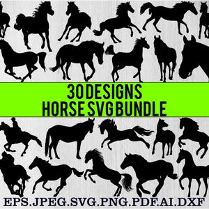 30 Horse svg Bundle, Horse Head svg, Horse Silhouette, Horse Png Bundle, Horseshoe SVG, Animal Svg, Cutting Files for Cricut Silhouette Jpeg