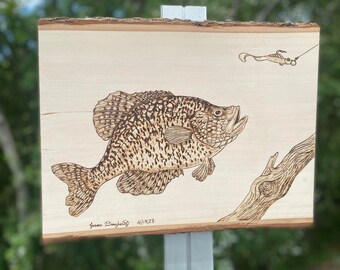 Black Crappie Woodburning, Pyrography, Wall Art, Handmade Piece