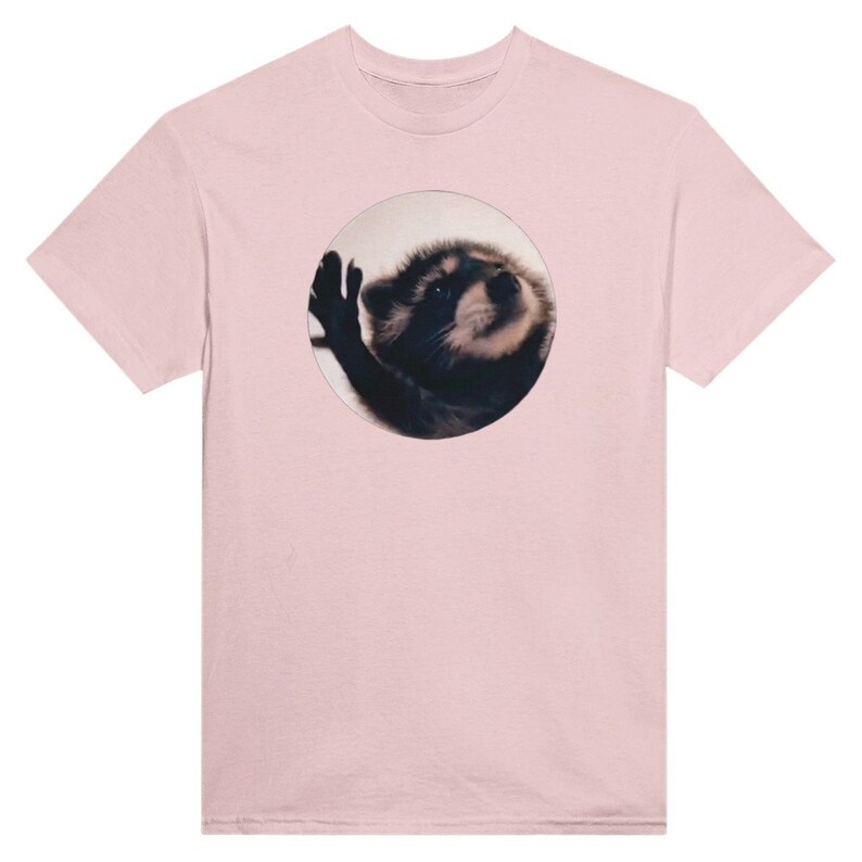 MEME T-shirt Pedro Raccoon - Etsy