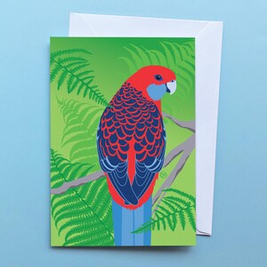 Tarjeta de felicitación de Rosella carmesí / Fauna australiana brillante y colorida / Tarjeta de cumpleaños para amantes de las aves