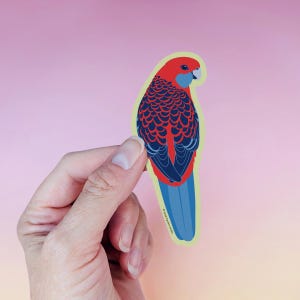 以下が含まれることがあります： 黄色い輪郭の赤い青いオウムのステッカー。オウムは右を向いており、青い尾があります。