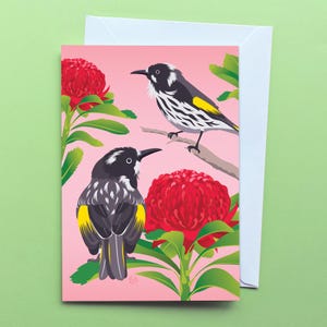 Carte de voeux de miel de New Holland | faune australienne lumineuse et colorée | Carte d'anniversaire pour les amateurs d'oiseaux