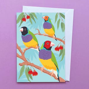 Tarjeta de felicitación de pinzón de Gould / Fauna australiana brillante y colorida / Tarjeta de cumpleaños para amantes de las aves