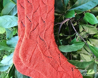 Rostrata Socks PDF Pattern