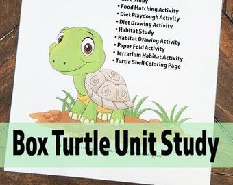 Eastern Box Turtle Study Unit, K-5th Curriculum Downloads, Digital Kindergarten Lessons, 1st-5th Grade Printable Lesson Plan Box Turtles,