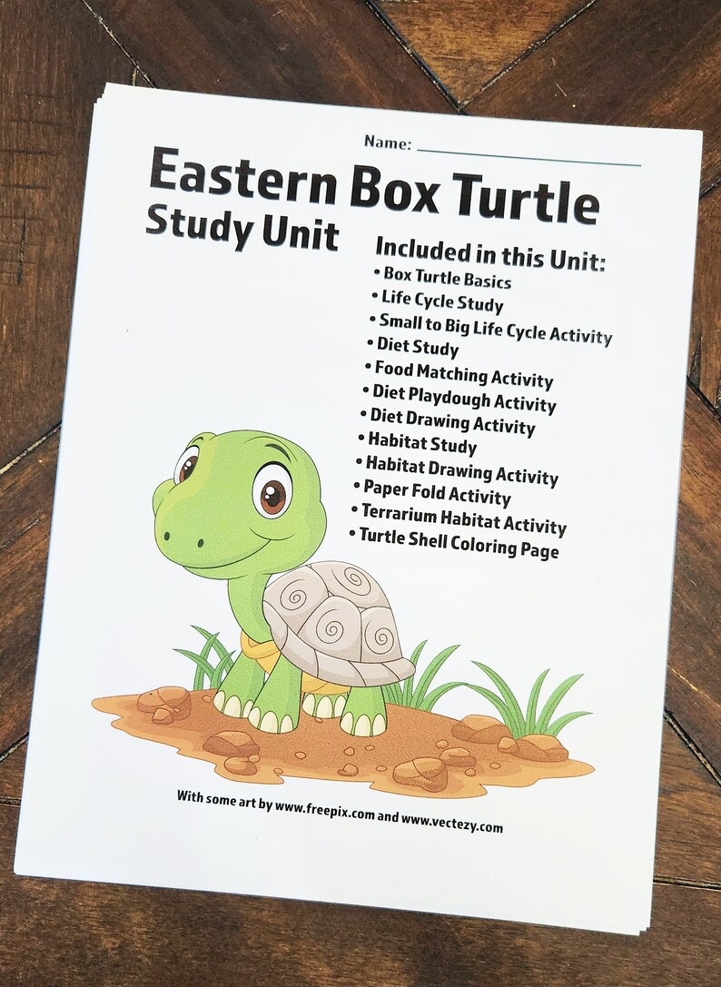 Eastern Box Turtle Study Unit: Homeschool Curriculum (digital Download ...