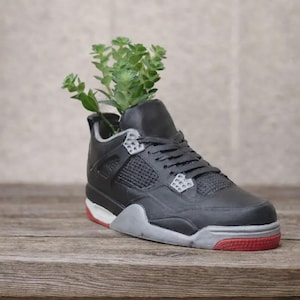 Op de afbeelding: Een zwarte sneaker-vormige plantenbak met grijze veteroogjes, een grijze tussenzool en een rode buitenzool. Een kleine groene vetplant groeit uit de opening van de schoen, die is ontworpen als decoratieve houder voor planten.