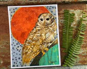 Resting Barred Owl Print - Various Sizes