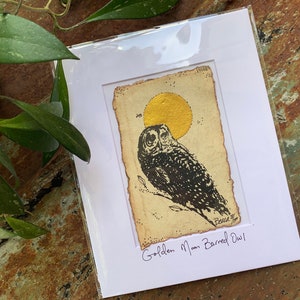 Golden Moon Barred Owl - Peinture et impression originales