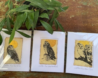 Golden Moon Barn Owl Set of 3 Painting & Print