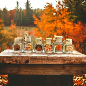 May include: Six small glass bottles with cork stoppers and twine hangers. Each bottle has a different autumn-themed label with text that reads "Coffee House", "Autumn Glow", "Maple & Spice", "Pumpkin Spice", "Yellow Brown", and "Pumpkin Dreamcatcher".