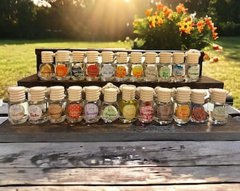 EcoAroma Car Diffuser, All Natural, Hand Made, Last 60 Days, made in USA.