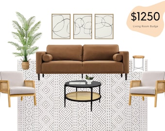 Online Living Room Design – e-design - 10 piece Living Room Design - Virtual Design - Modern Boho Living Room 1250 Budget