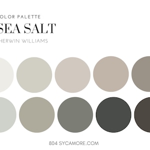 Sea Salt Home Color Palette, Sherwin Williams, Interior Paint Palette, Professional Paint Scheme, Color Selection, Interior Design