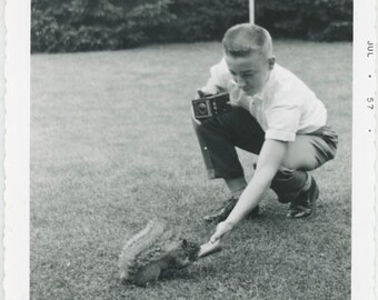 Vintage photo 1949 Teenage Boy Holds Brownie Kodak Camera feeds Squirrel in Grass 35 T