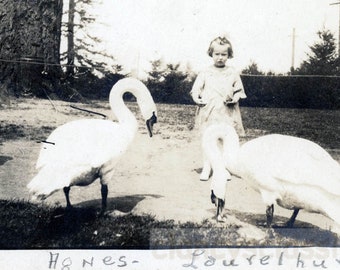 vintage photo 1920 Agnes at Laurelhurst Park 13 I