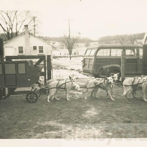 Può includere: Una fotografia in bianco e nero di un carro di legno vintage trainato da quattro cani bianchi. Il carro ha una struttura in legno e una copertura in tela. I cani sono imbrigliati insieme e stanno tirando il carro su una strada sterrata. La foto è stata scattata davanti a un edificio con un cartello che dice "Texas Tom's".