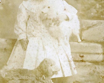 vintage photo 1898 Little Boy in Dress Holds Steiff Toy Dogs Train Engine Car 28 Q