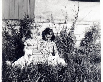 vintage photo 1940 Mother & Daughter in Grass w 2 White Schipperke Dogs 37 Y