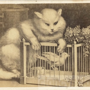 ヴィンテージ写真 1870年代 CDV 狩猟隊 白猫 カナリア 鳥かごの中 レア フィラー 67 U
