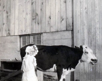 Vintage Snapshot 1933 Prairie Bonnet Woman Milking Cow by Barn 58P