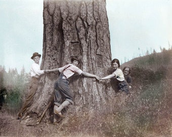 Baum Hugger Grußkarte