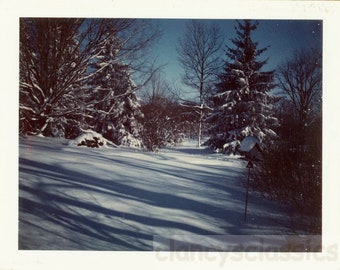 vintage foto 1970 Nieuwjaarsdag Snow Scene Blauw op Blue Polaroid 45 B