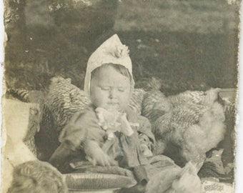 vintage photo Baby Gertrude Sits Feeding the Baby Chickens 24 G