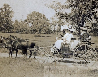 1900 Metzner Children Pony Wagon & Chihuahua Dog Long Island NY Cabinet RARE