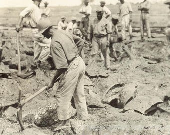 vintage photo 1920 Trinidad Pitch Lake La Brea Workers Mining Asphalt