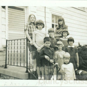 vintage photo 1968 Polaroid All 9 Siblings What a Family! 31 R