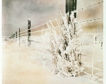 Photograph Print Snow Landscape on the Farm