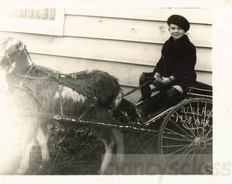 Fotografía antigua de 1928. Bud Mason viajando en un carro tirado por una cabra en su jardín delantero. Little Rock, Arkansas. 29 F