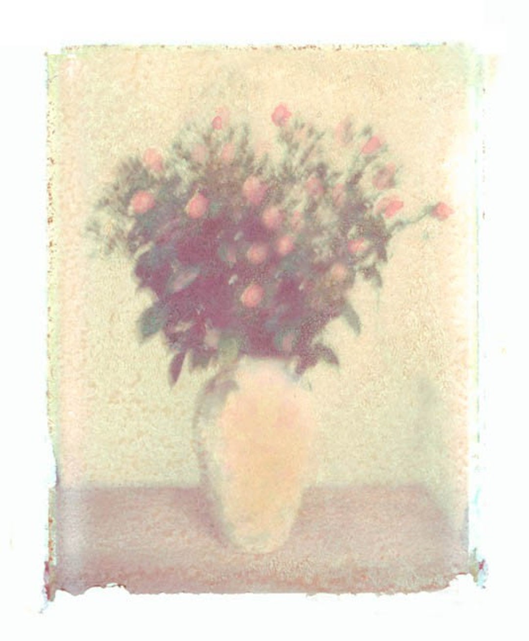Baby Pink Roses Bouquet Transfer Color Photograph Print - Etsy