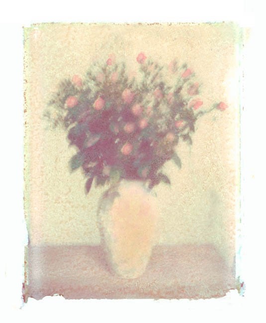 Baby Pink Roses Bouquet Transfer Color Photograph Print - Etsy