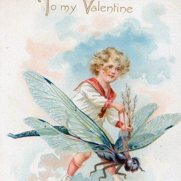 vintage Valentine Boy Rides Dragonfly Tucks postcard