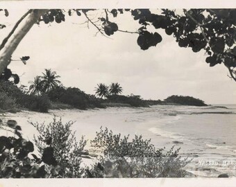 Foto d'epoca 1918 Bellissima vista panoramica Nassau Bahamas RPPC 72 C